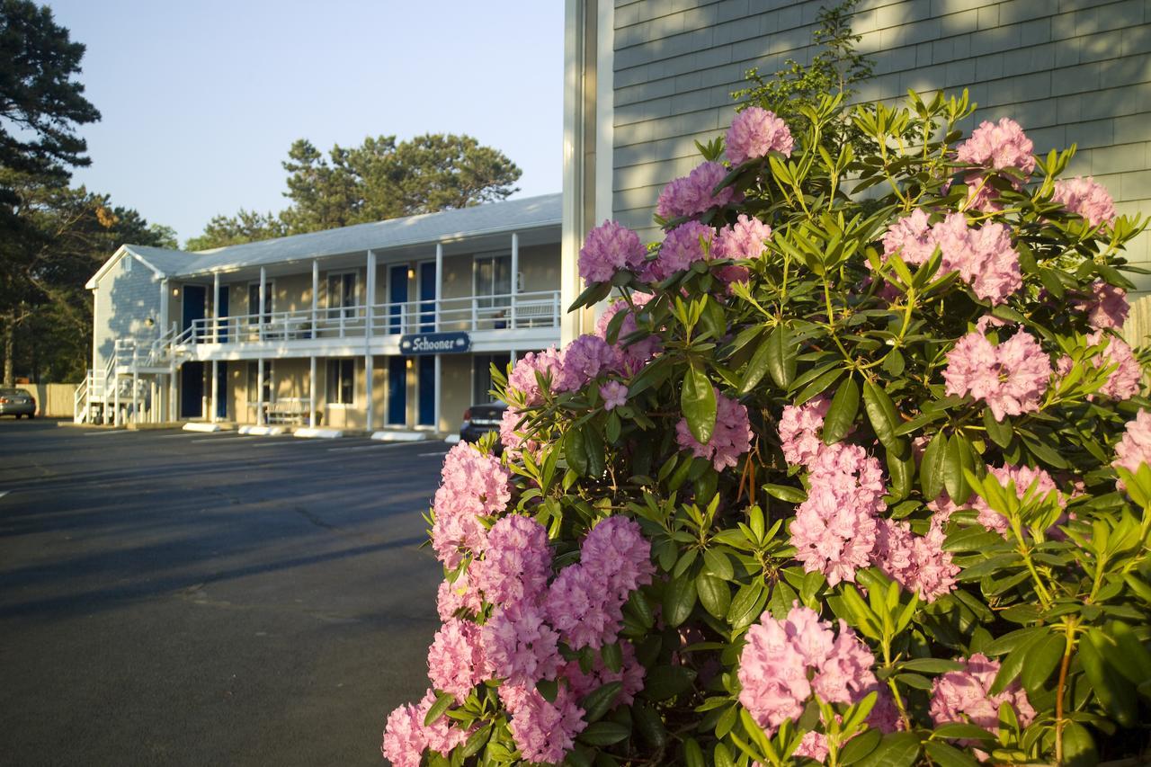 Southfleet Motor Inn Wellfleet Bagian luar foto